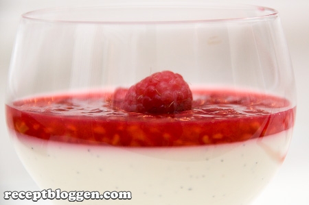 pannacotta-med-vaniljsmak-och-hallontacke3-4554
