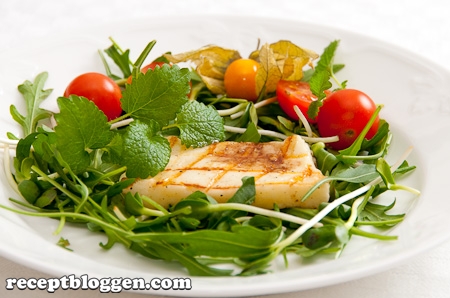 grillad-halloumi-med-olivolja-och-balsamvinager-5636