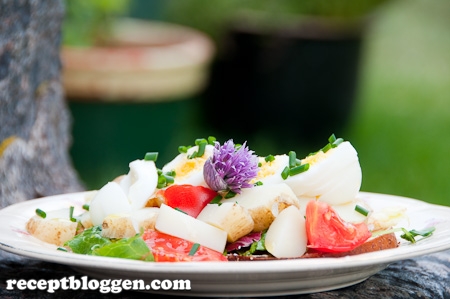 enkel-sommarmacka-med-grovt-brod-sallad-tomat-nypotatis-agg-och-majonas-6519