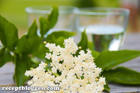 fladersaft-med-fladerblommor-fran-halland-citron-och-socker-6495