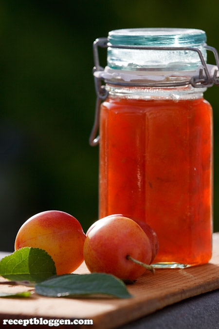 enkel-plommonmarmelad-med-citron-ingefara-och-kanel-0162
