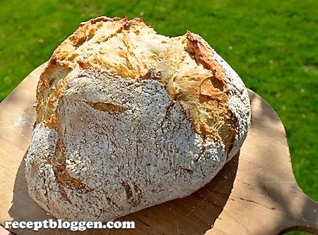 dsc_0761levainlevain